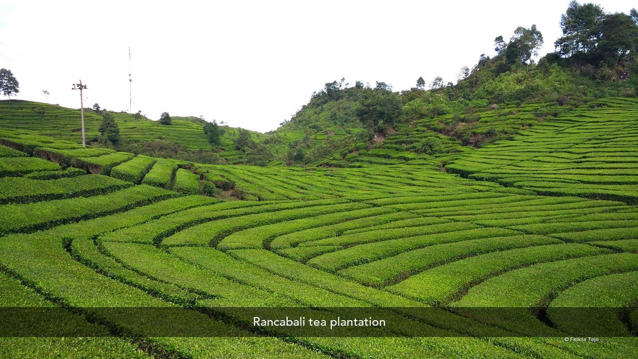 Zen Premium Near Rumah Mode Bandung Zewnętrze zdjęcie